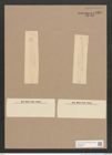 Navicula sp. (de-Toni-Nr.: Genus 1) Zeichnungen Sammlung Grunow Nr. 1389 (NHMW-BOT-W0368352)